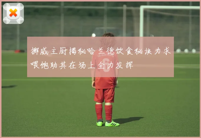 挪威主厨揭秘哈兰德饮食秘诀力求喂饱助其在场上全力发挥